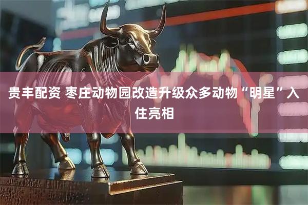 贵丰配资 枣庄动物园改造升级众多动物“明星”入住亮相