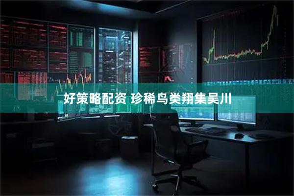 好策略配资 珍稀鸟类翔集吴川