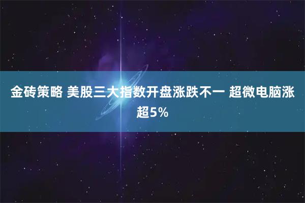 金砖策略 美股三大指数开盘涨跌不一 超微电脑涨超5%